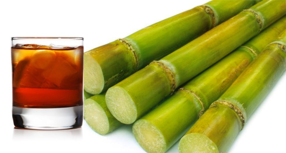 مشروب الروم Rum