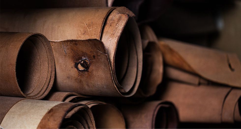الجلد leather