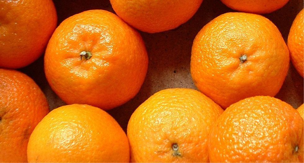 المندرين الكالابري Calabrian mandarin