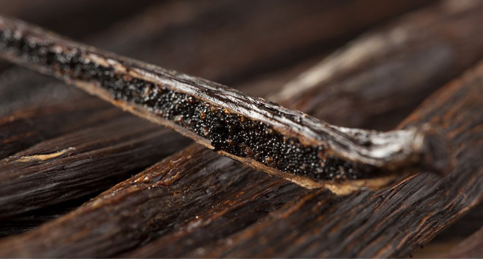 بذور الفانيلا Vanilla Pod