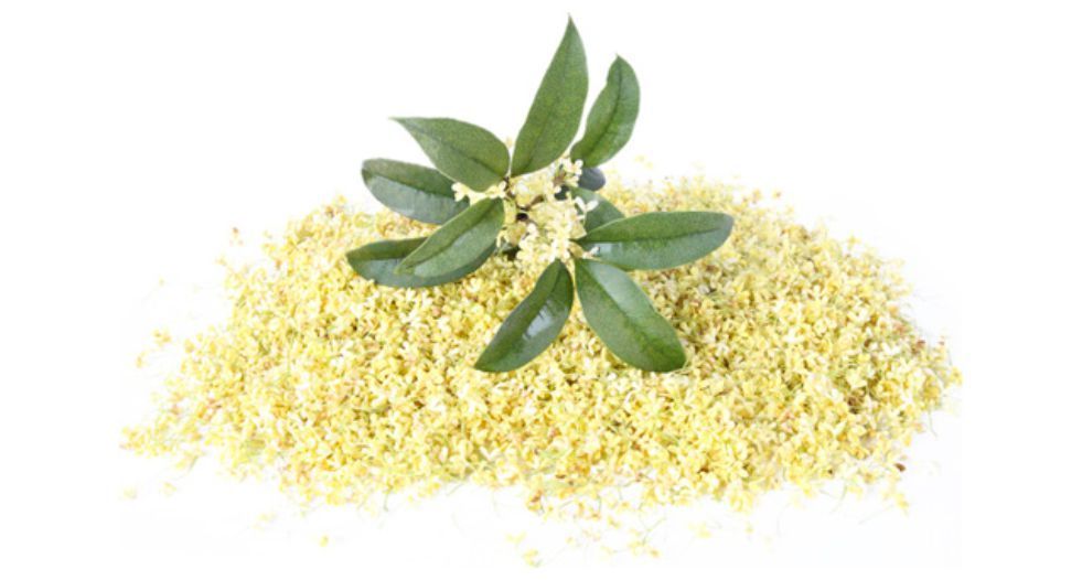 زهر اوسمانثوس Osmanthus blossom