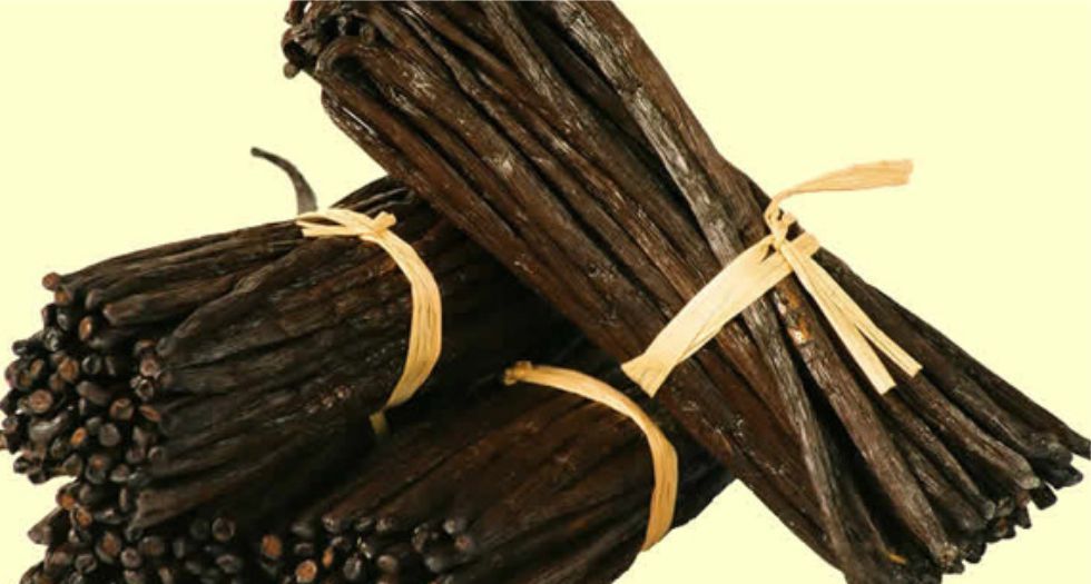 فانيلا سوداء Black Vanilla