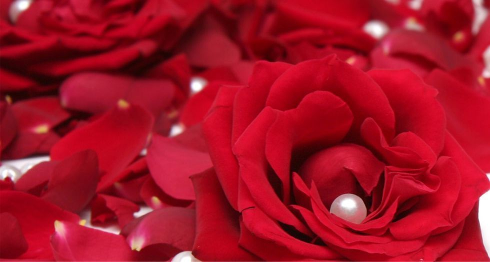 Rose Petals بتلات الورد