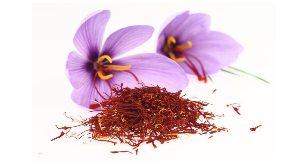 زعفران saffron