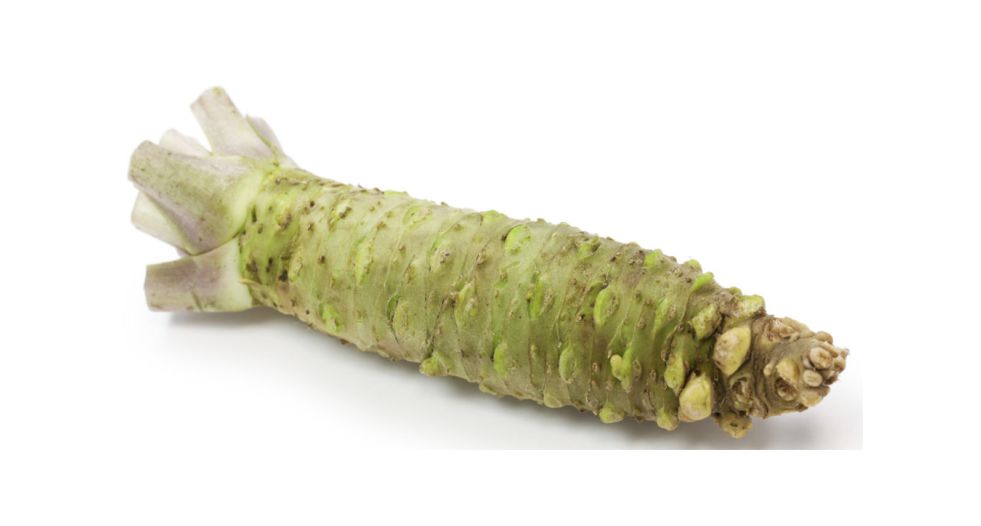 واسابي Wasabi