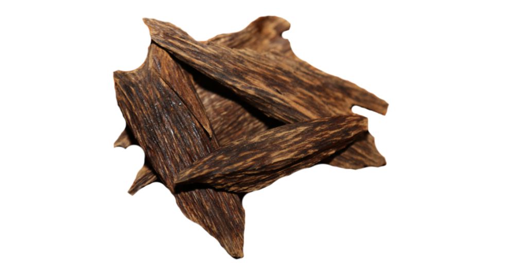 العود Agarwood (Oud)