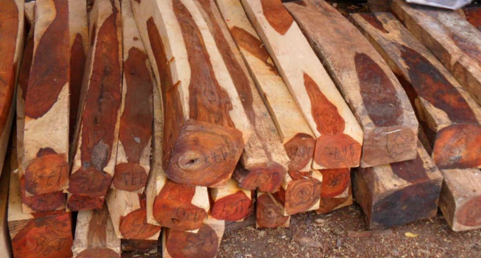 خشب صلب Cocobolo