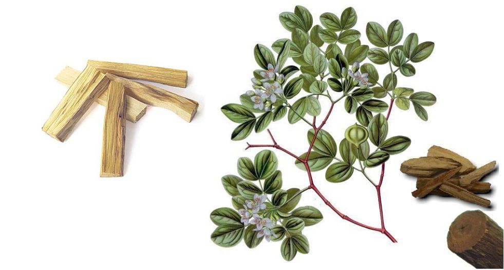 خشب الغاياك Guaiac Wood