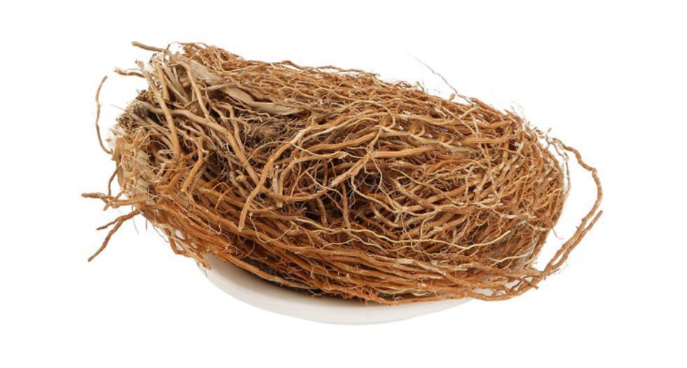 نجيل الهند Vetiver