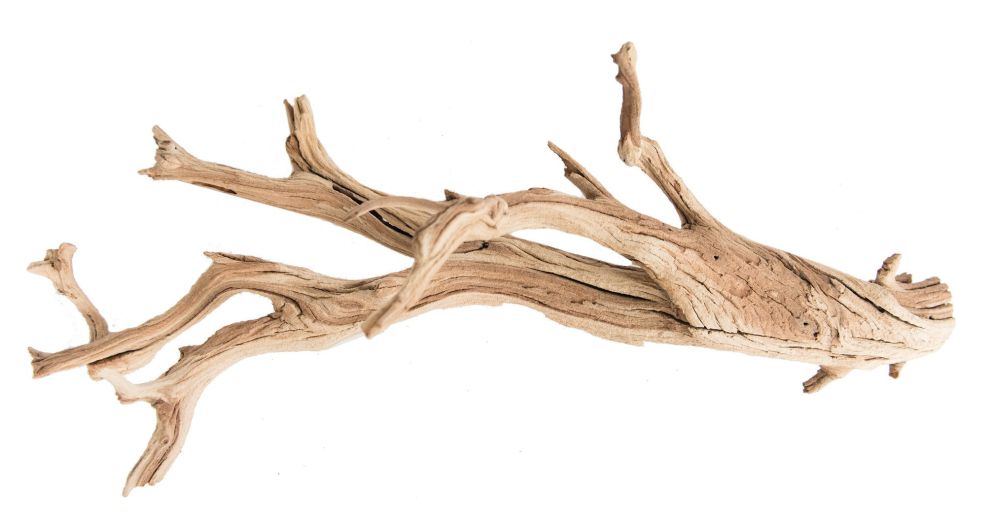 الأخشاب الطافية Driftwood