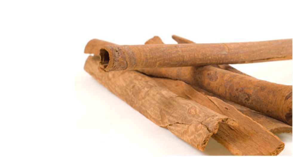 خشب الماسويا Massoia wood
