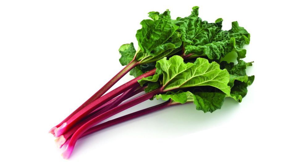 راوند Rhubarb