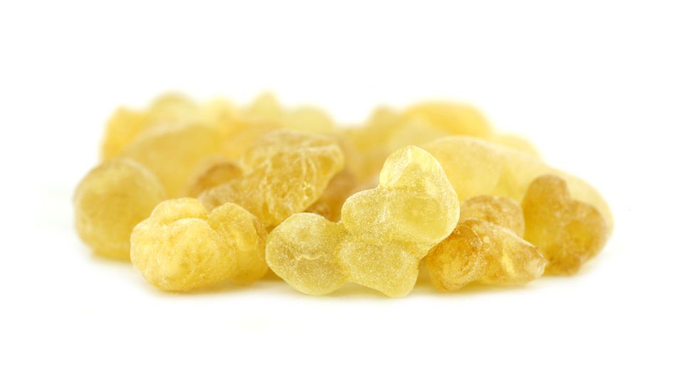 اللبان Olibanum (Frankincense)