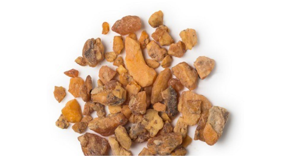 تشويا لوبان Choya Loban