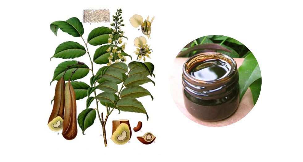 بلسم البيرو Peru Balsam