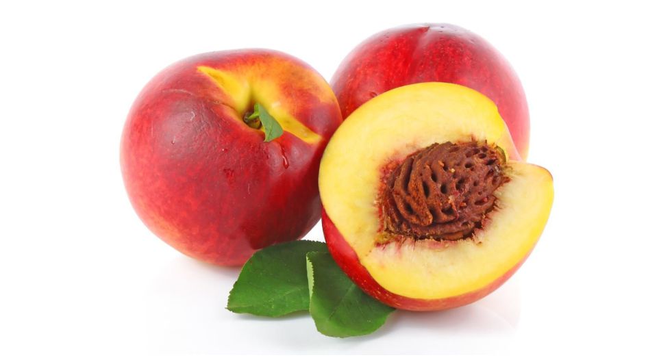 نكتارين nectarine