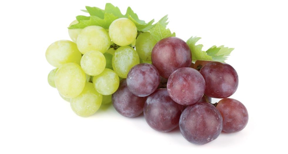 عنب Grapes