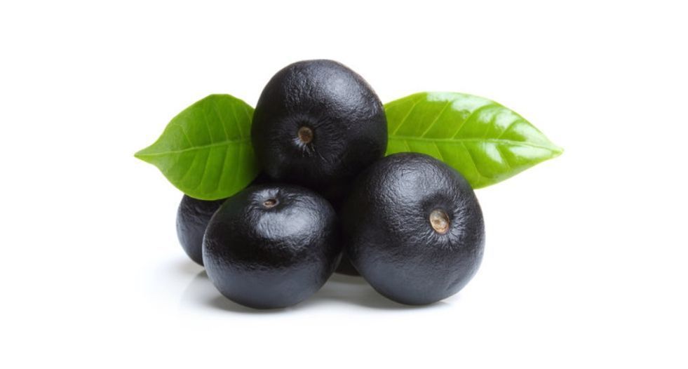 نخل الآساي Acai berry