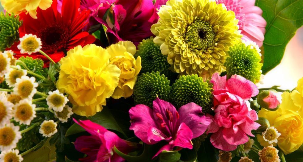 ملاحظات زهرية Floral notes