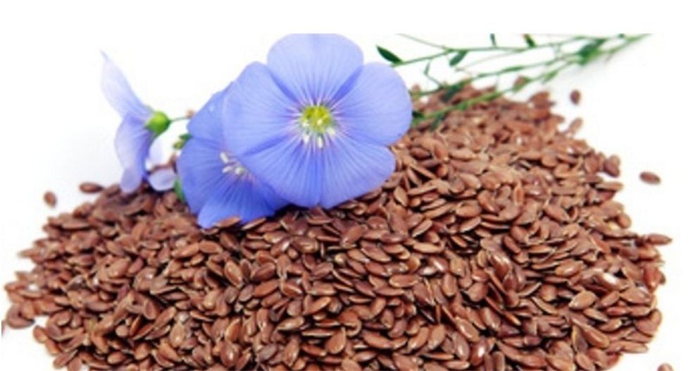 كتان Flax