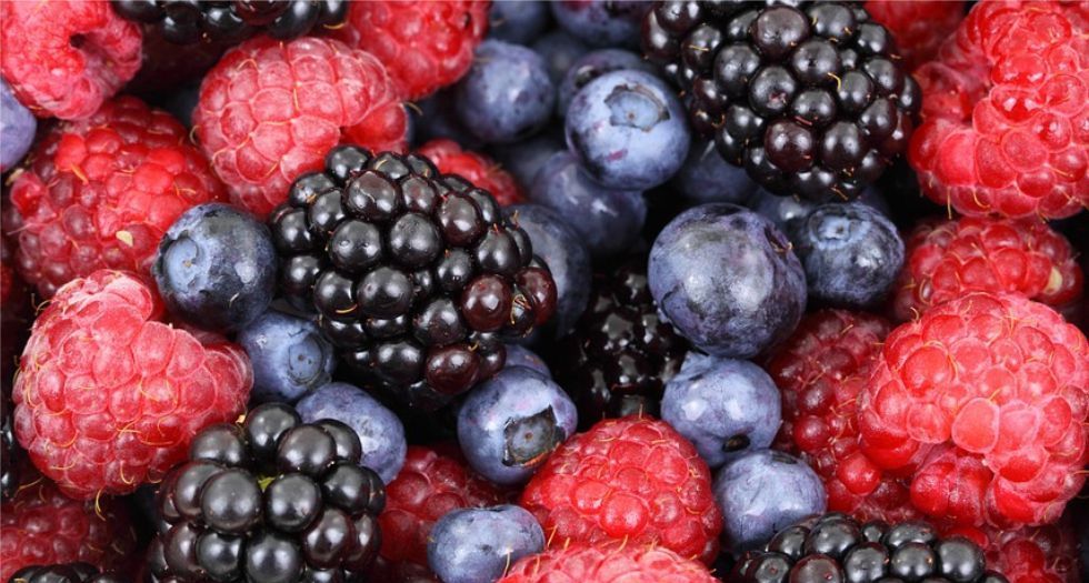 توت بري Wild berries (Cranberry)