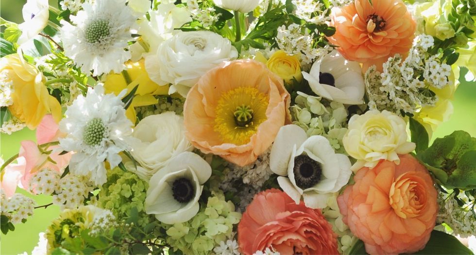 زهور برية Wild flowers