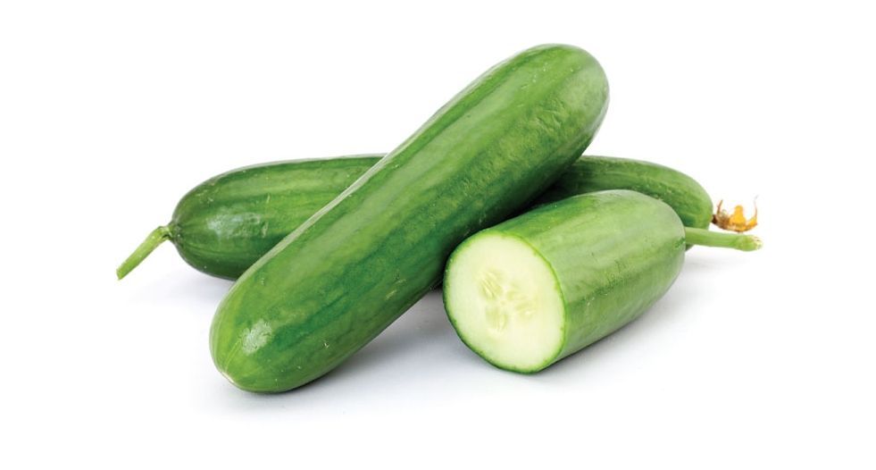 خيار Cucumber