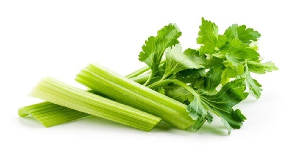 كرفس Celery