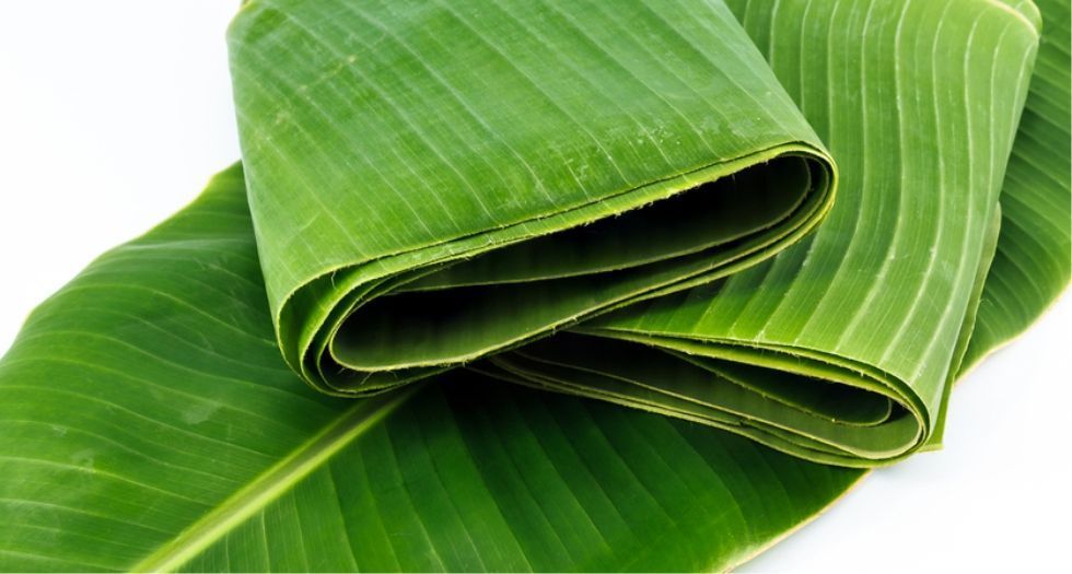 اوراق الموز Banana Leaf