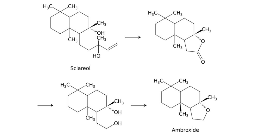 امبروكسان Ambroxan or (Cetalox)