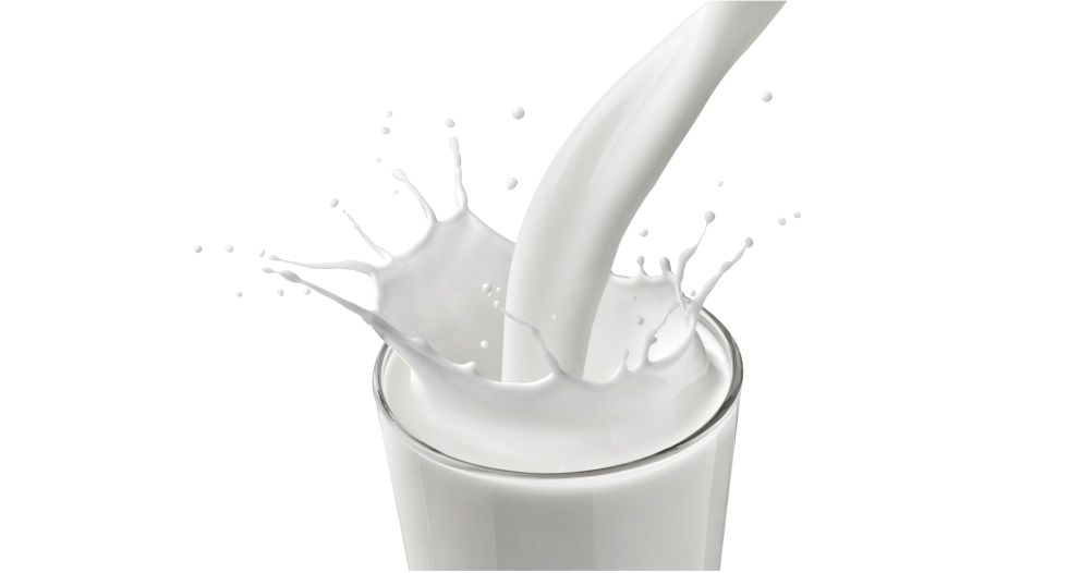 الحليب milk