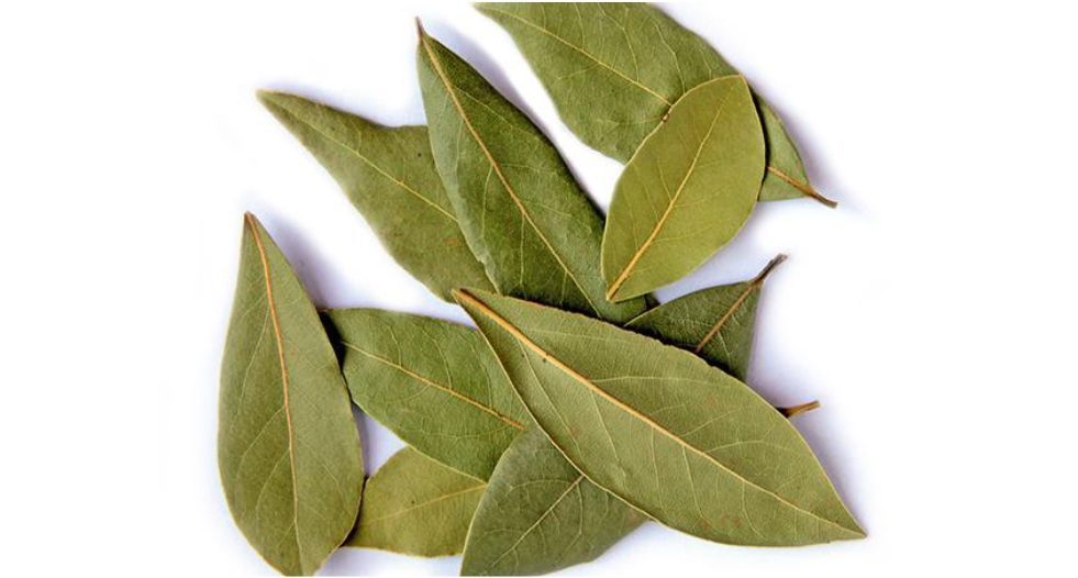 ورق الغار bay leaf (Laurels)