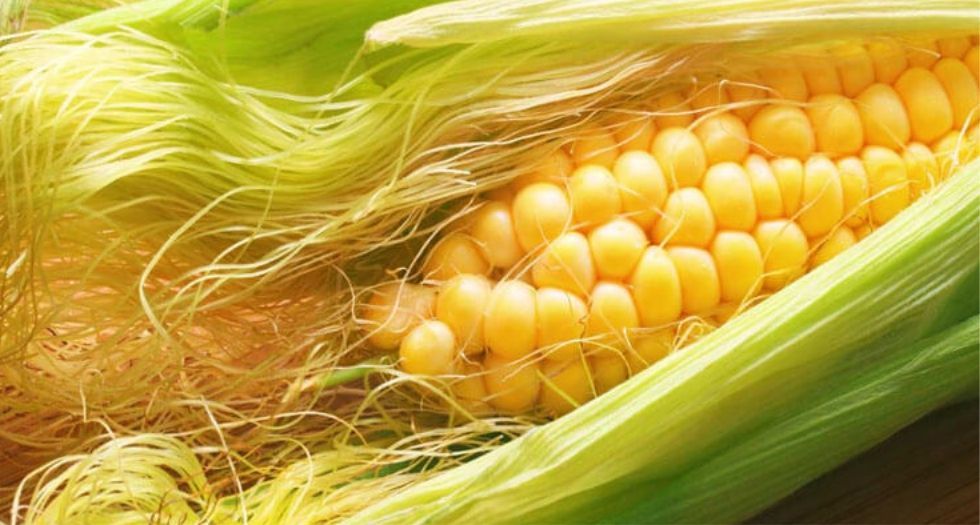 حرير الذرة Corn Silk