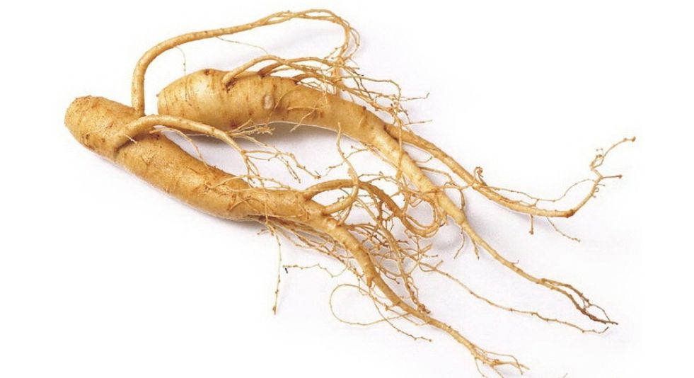 الجينسنغ Ginseng