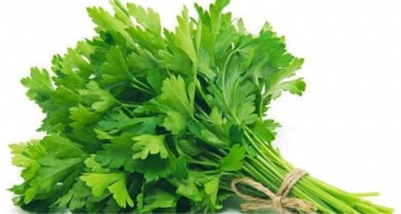 Parsley بقدونس
