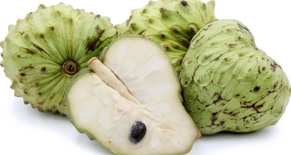 cherimoya قشطة