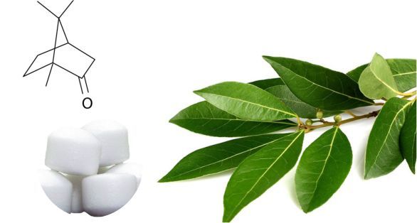 الكافور Camphor