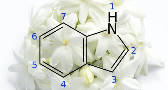الاندول Indole