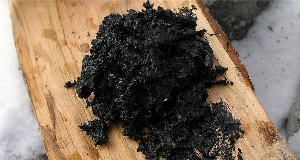 Birch Tar القطران
