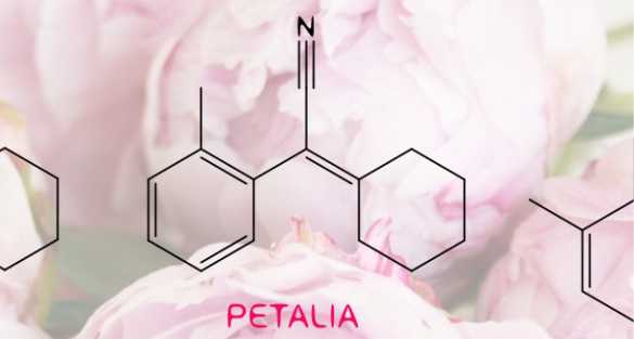 Petalia بيتاليا