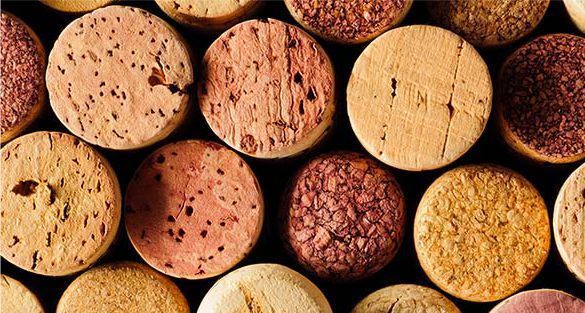 Cork فلين