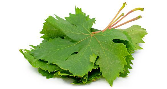 ورق العنب Grape leaves