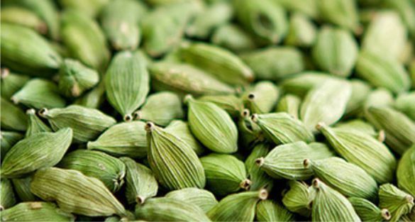 هيل غواتيمالا Guatemala Cardamom