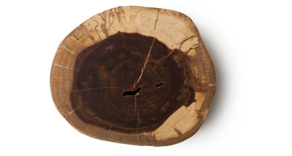 Buddha Wood خشب البوذا