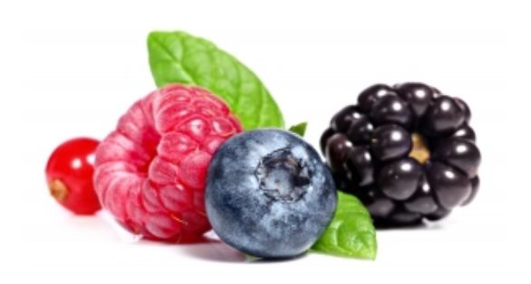ثمار الغابة Forest Fruits