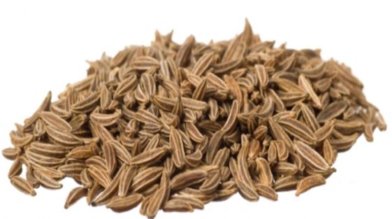 كمون Cumin