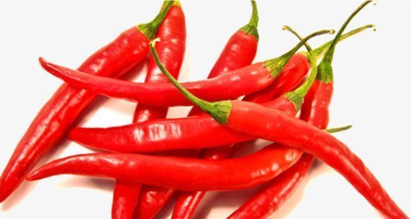 فلفل حار Red Chilli Pepper
