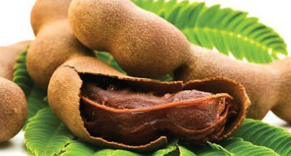 تمر هندي tamarind