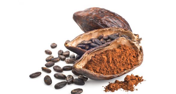 كاكاو Cocoa