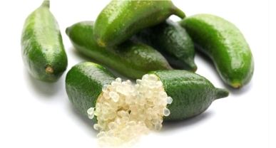 Finger Lime أصابع الليمون